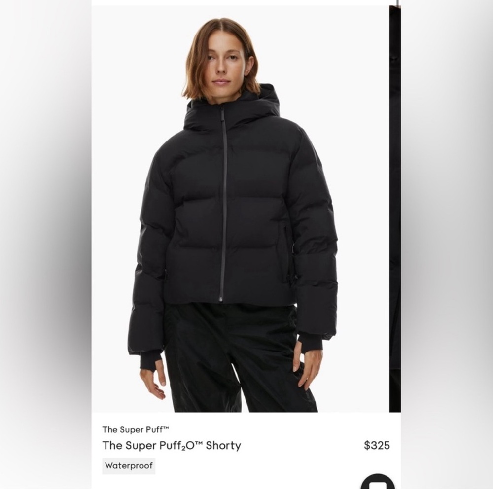 Aritzia Black Puffer Jacket with High Collar and Hood